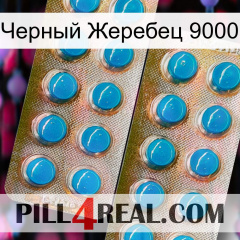 Черный Жеребец 9000 new08